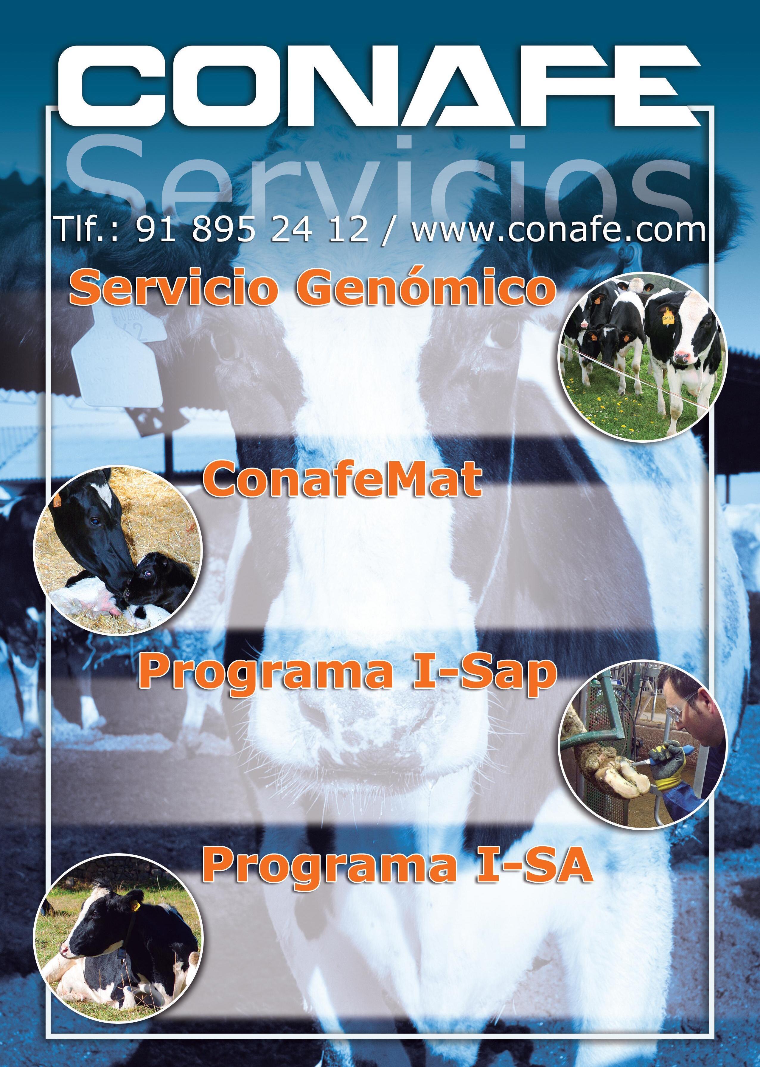 Revista Frisona Española 257 (sep-oct 2023) by CONAFE Frisona ...