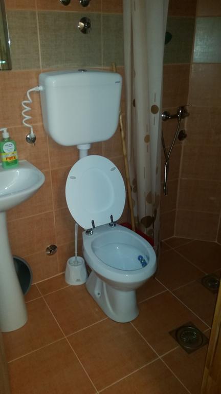 Apartment - Ground Floor,186487656:JPEG