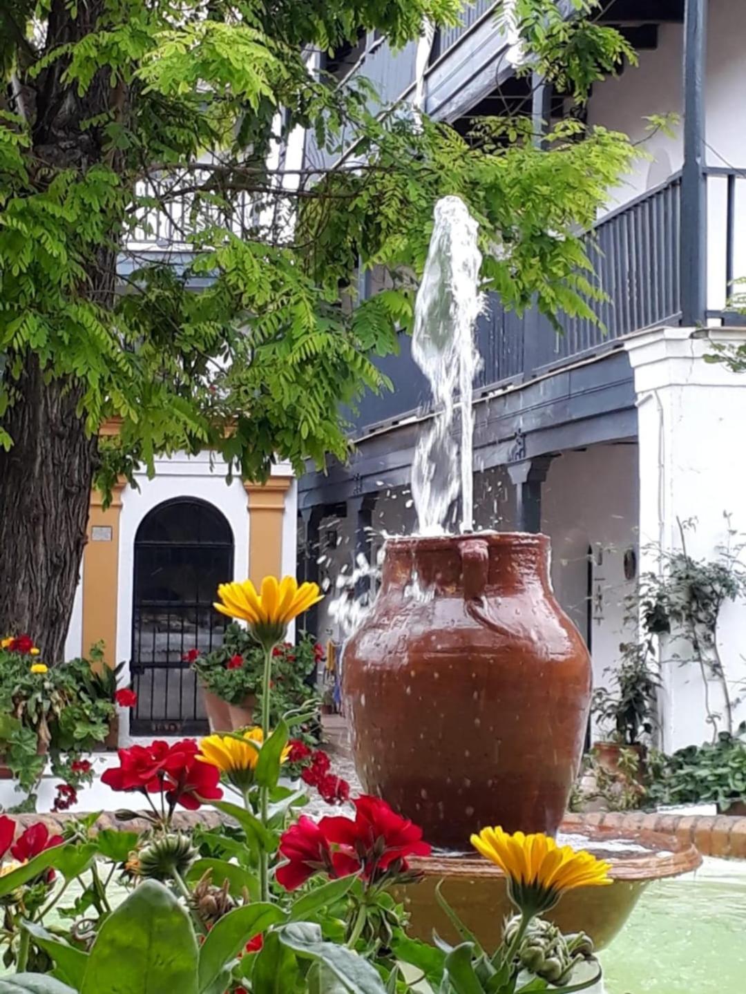 Apartment Garden View