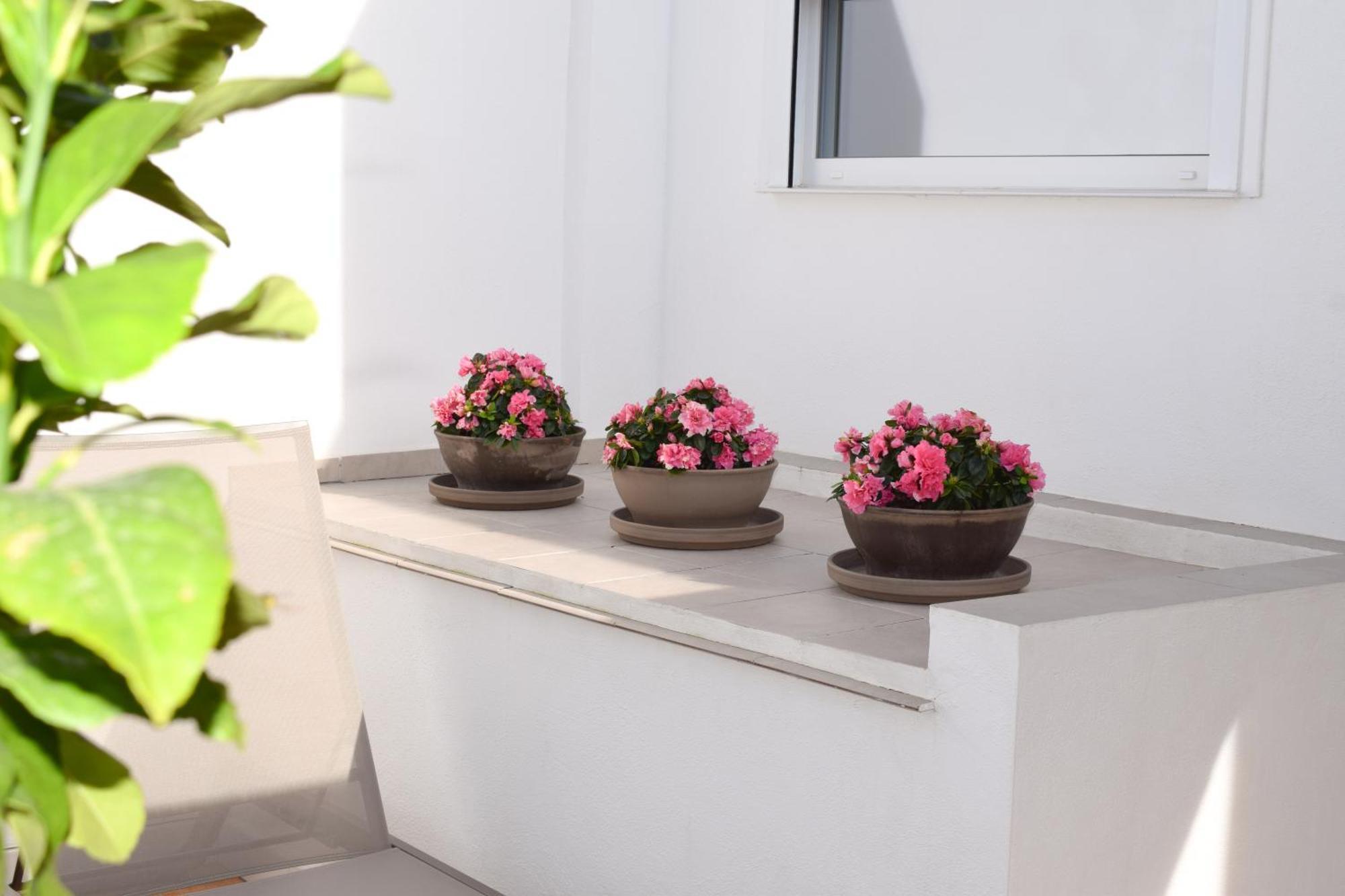 Double Room Terrace