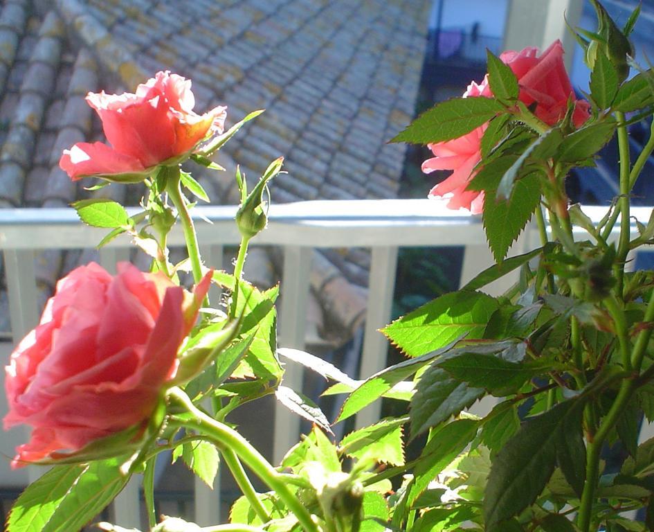 Apartment Terrace,215280254:JPEG