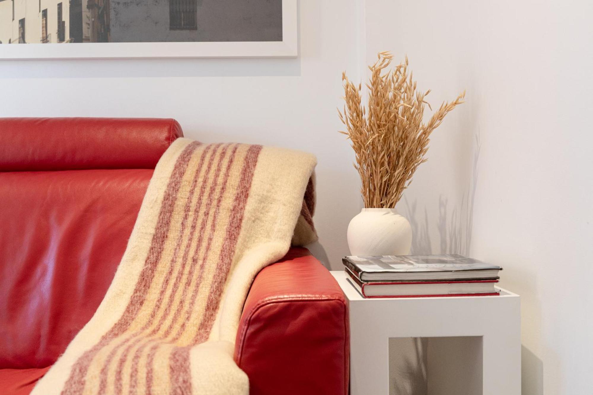 One-Bedroom Apartment Sofa Bed