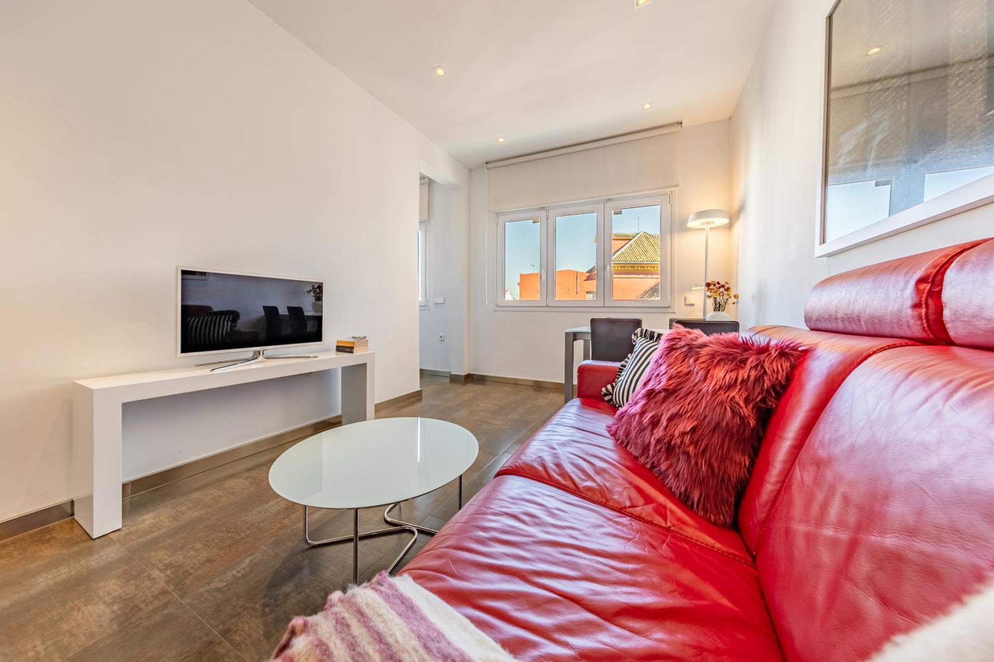 One-Bedroom Apartment Sofa Bed