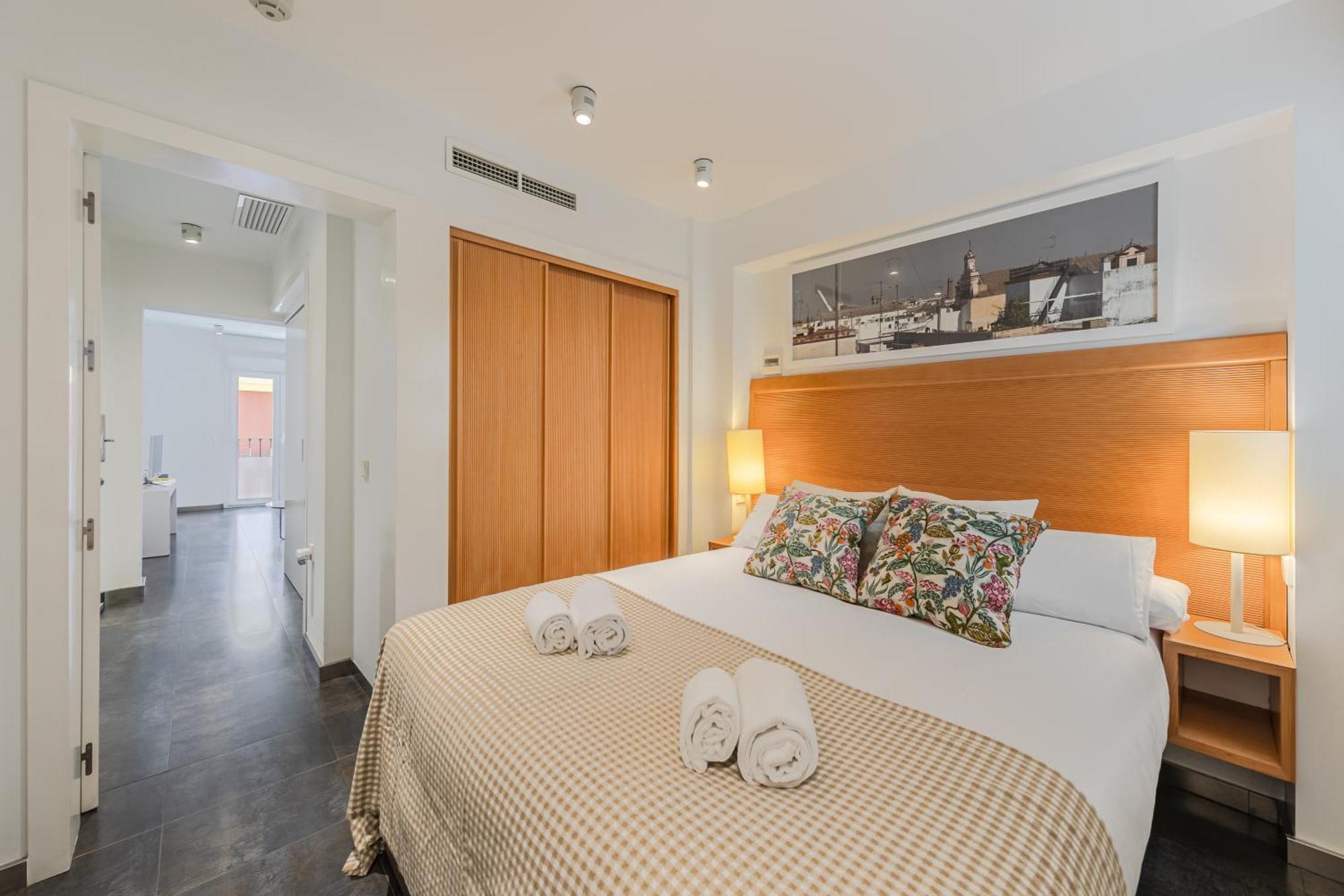 One-Bedroom Apartment Sofa Bed