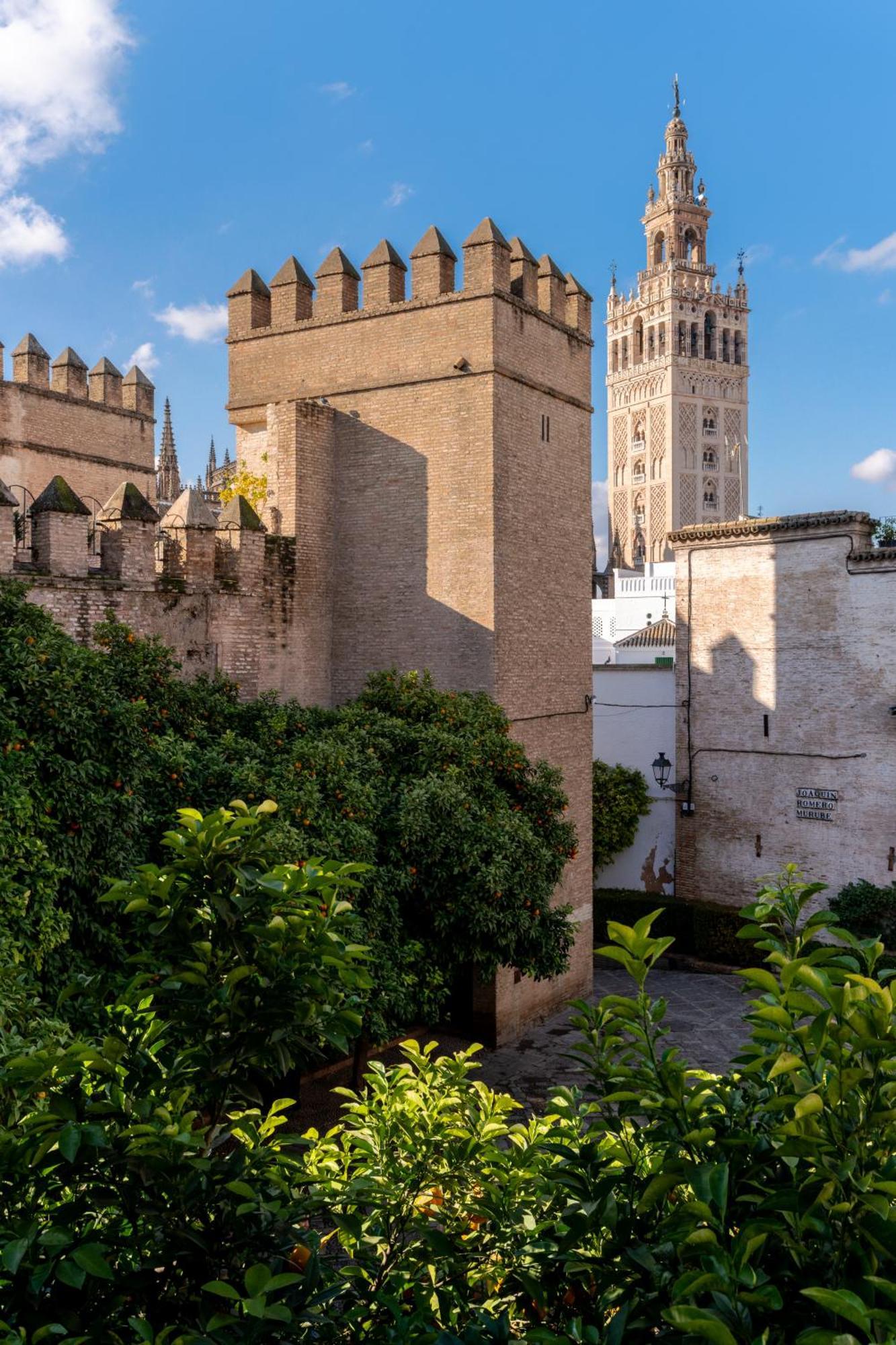 Deluxe Apartment Giralda views