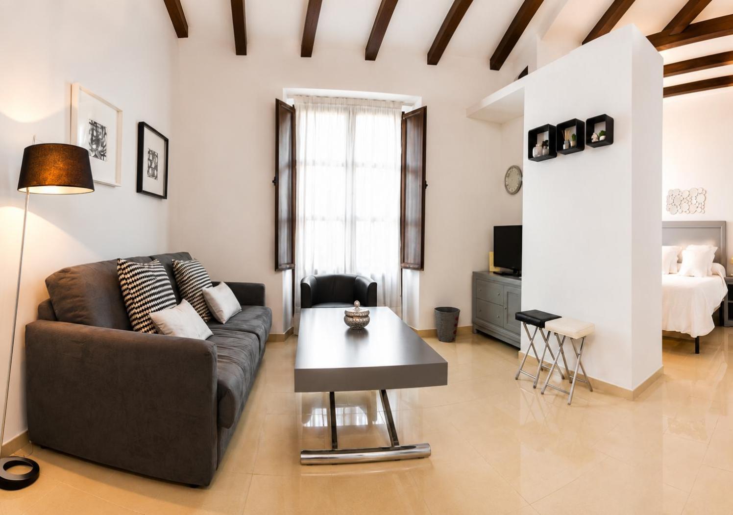Superior One-Bedroom Apartment