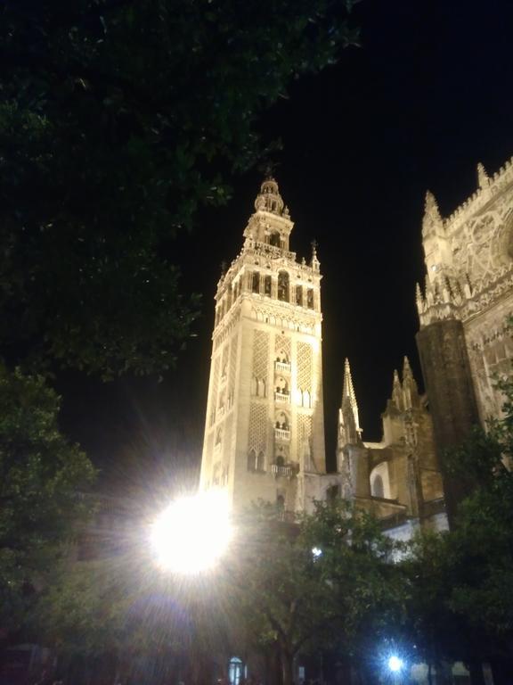 Penthouse Apartment,324270983:JPEG