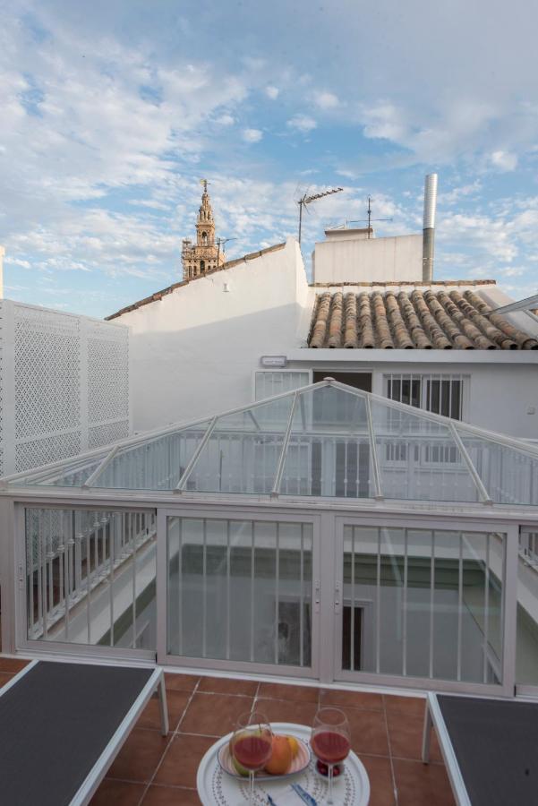 Penthouse Apartment private terrace,911660038:JPEG