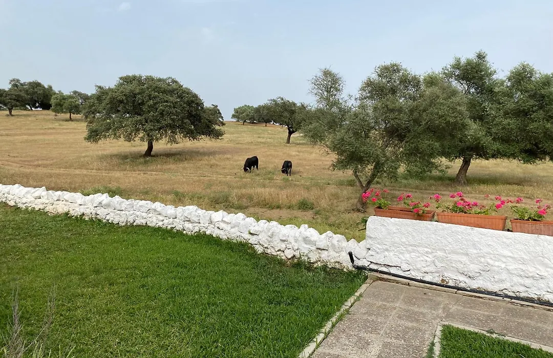 Agradable Villa Con Piscina-1