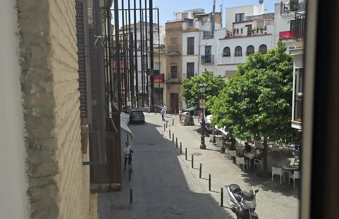 Le Petit Palue Sevilla-1