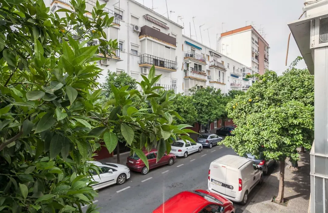 Apartamento Azahar-1