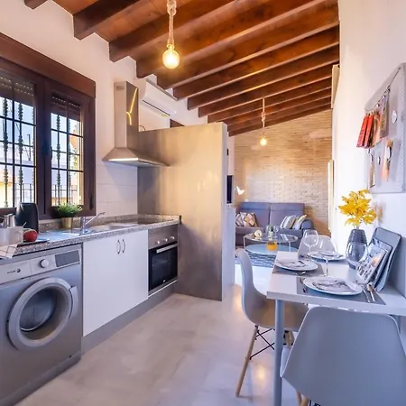 Triana Penthouse-2