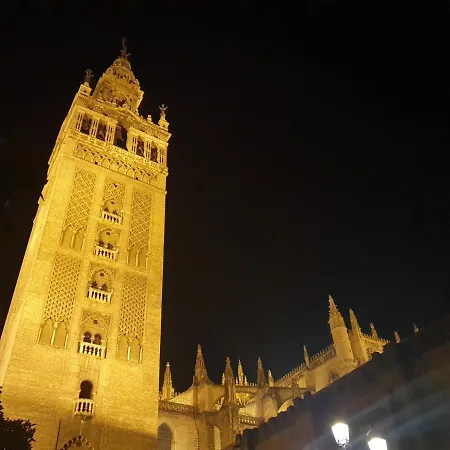 Nool Sevilla-3