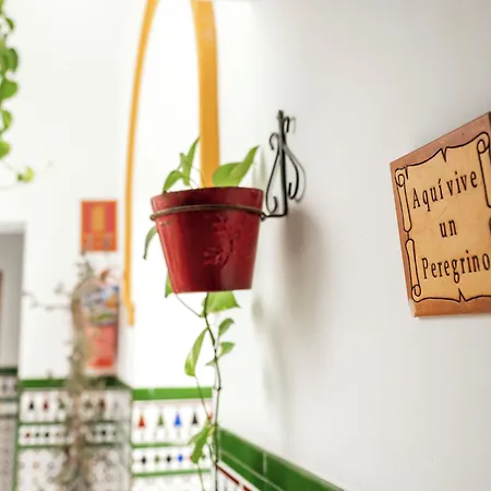Hostel Triana Backpackers-3