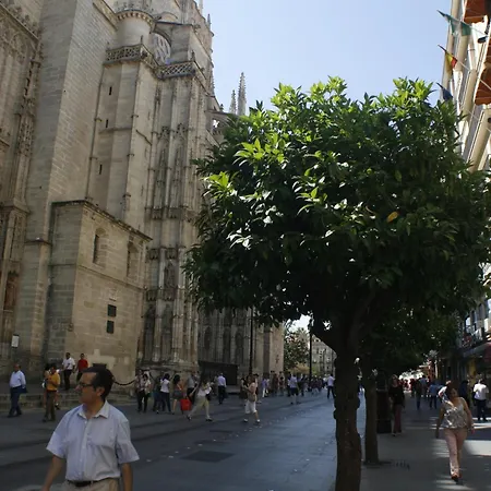 Catedral Boutique-3