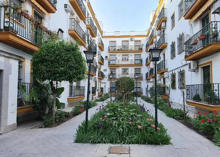 Nool Sevilla